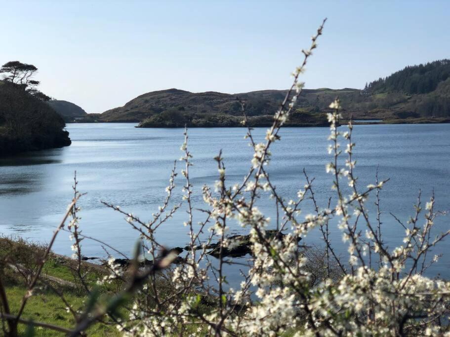 Lough Hyne Cottage Skibbereen Dış mekan fotoğraf